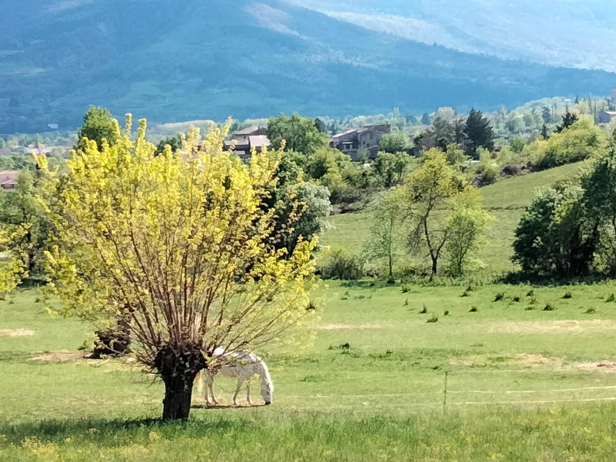Chambre D'Hotes La Terrasse De Sabatas Chomerac Экстерьер фото